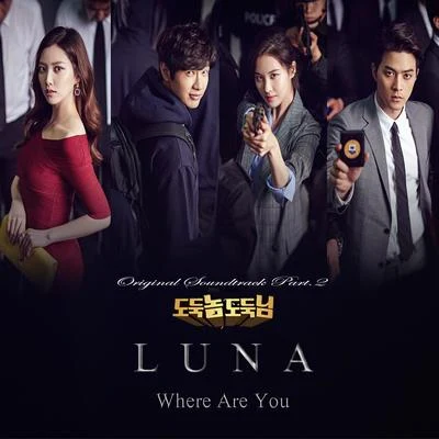 LunaCrypsis 도둑놈 도둑님 OST Part.2