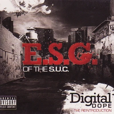 Digital **** (The Reintroduction) 專輯 E.S.G./Slim Thug