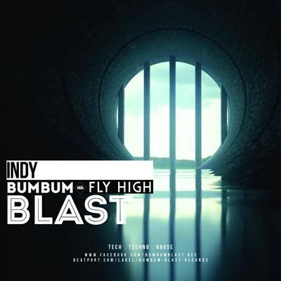 Fly High 专辑 Indy/Dylan Reese