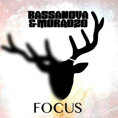 Focus 專輯 Bassanova/D-Rashid