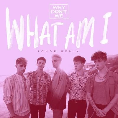 What Am I (SONDR Remix) 专辑 Why Don't We/The White Panda