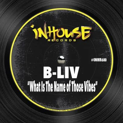 What is the Name of Those Vibes 專輯 B-Liv/Sted-E/Worthy/Eoghan Tomas/Mike Ivy