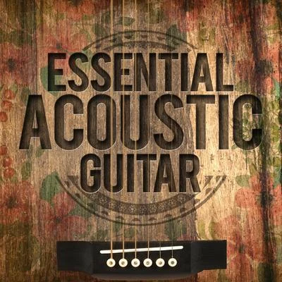 Essential Acoustic Guitar 专辑 Guitar Masters