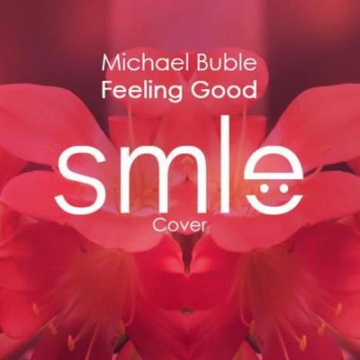 Feeling Good (SMLE Cover) 专辑 SMLE/Nick Smith