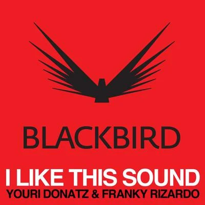 I Like This Sound 專輯 Franky Rizardo/Flashmob/Pirupa/Soul Central/Amber Jolene