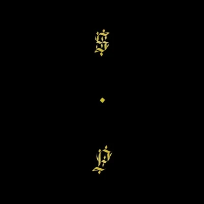 Black Up 專輯 Shabazz Palaces