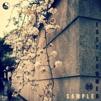 Easy Summer Sampler 09 专辑 7 Wonders/Arctic Light