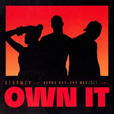 Own It (feat. Burna Boy & Sho Madjozi) [Remix] 专辑 Stormzy/Loski