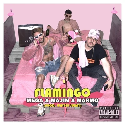 Flamingo 專輯 Mega