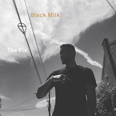 The Fix 專輯 Black Milk