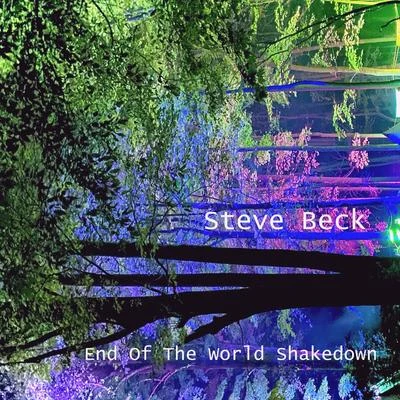 End Of The World Shakedown 專輯 Tim Fain/Steve Beck