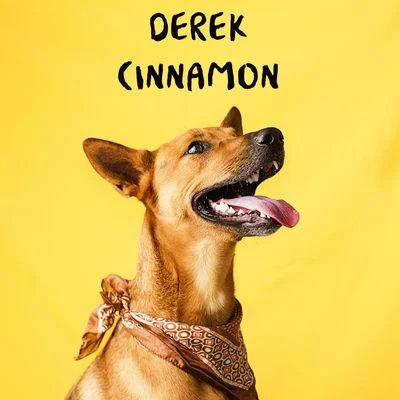 Cinnamon 專輯 Derek/El Pleoo/DJ Sanches