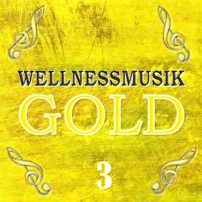 Wellnessmusik Gold 3 专辑 Largo/Jaydon Lewis