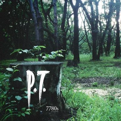 Silent Hills P.T. Soundtrack 专辑 宮野幸子/中山博之/亀岡夏海