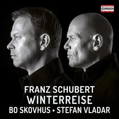 Bo Skovhus SCHUBERT, F.: Winterreise (Skovhus, Vladar)