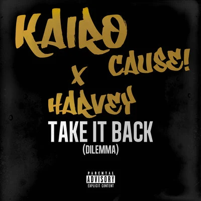 Take It Back (Dilemma) 專輯 Harvey/FSB/Inadze