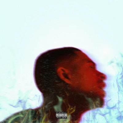 Platinum Fire (Deluxe) 專輯 Arin Ray