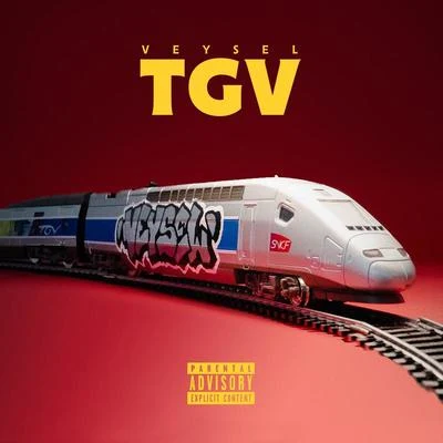 TGV 专辑 Veysel/Azzi Memo