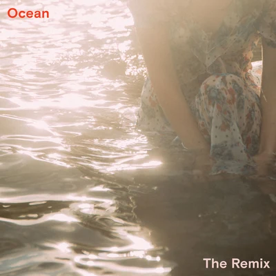 Ocean (Feki Remix) 專輯 TSCHAX/Ella Vos