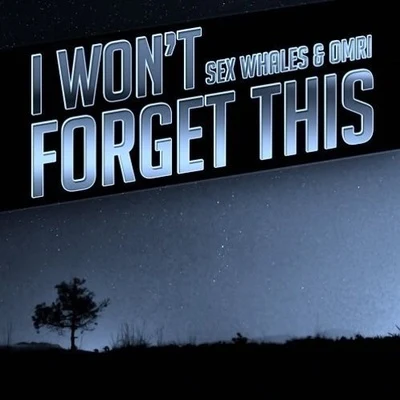 I Wont Forget This (Ben Walter Edit) 專輯 Ben Walter