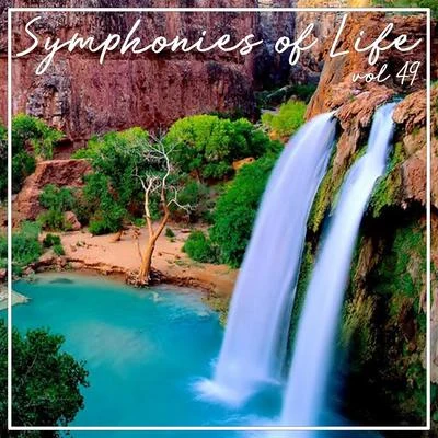 Nicholson Symphonies of Life, Vol. 49 - Scarlatti: Piano Sonatas