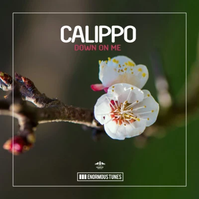 Down on Me 專輯 Calippo