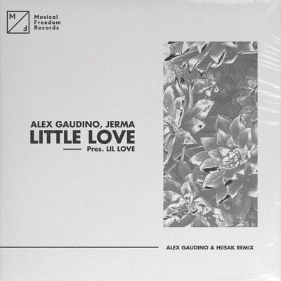 Little Love (pres. Lil Love) [Alex Gaudino & Hiisak Remix] 專輯 Lil Love