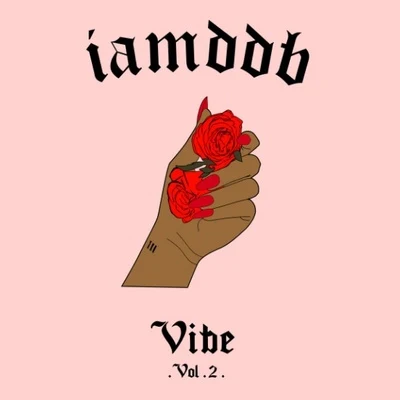 VIBE VOL 2 專輯 IAMDDB