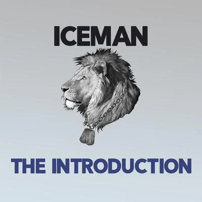 The Introduction 專輯 115/Big Reg/T.C./One Tyme/Iceman