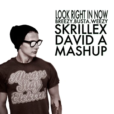 @davidaproducer 专辑 Kelsey Lu/Skrillex