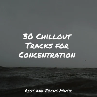 30 Chillout Tracks for Concentration 專輯 Entspannungsmusik Meer