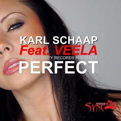 Perfect (feat. Veela) 專輯 Karl Schaap/Jaroslav Nodes