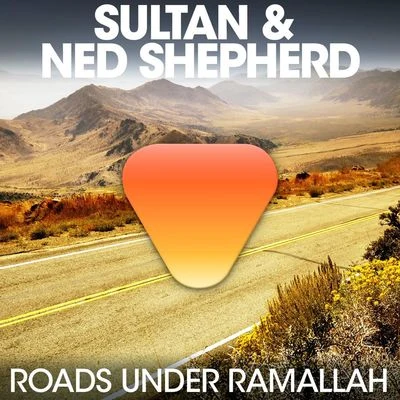 Roads Under Ramallah 專輯 Ned Shepard