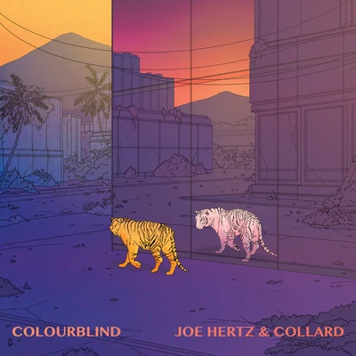 Colourblind 專輯 Joe Hertz