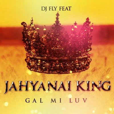 Gal mi luv 專輯 DJ Sebb/DJ Fly