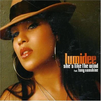 Shes Like The Wind - Single 專輯 Lumidee