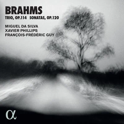 Brahms: Trio, Op. 114 & Sonatas, Op. 120 專輯 Xavier Phillips/Laurent Lefevre/Pascal Moragues/Frederic Mellardi/vincent lucas