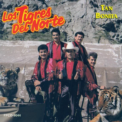 Tan Bonita 專輯 Los Tigres del Norte