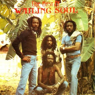 The Best of the Wailing Souls 专辑 Wailing Souls