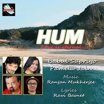 Hum 专辑 Pamela Jain/Javed Ali