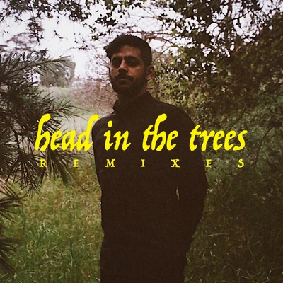 Head In The Trees (Remixes) 專輯 Hotel Garuda/Justin Jay