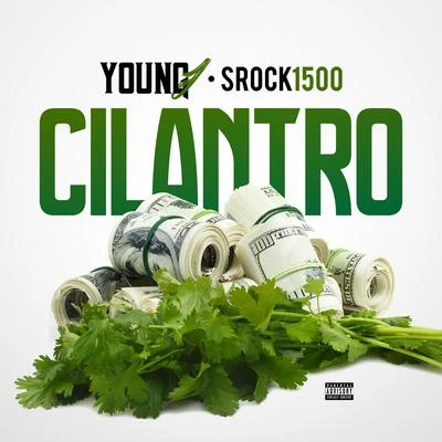 Cilantro (feat. Srock1500) 專輯 GS/Young J/Black/Cisco/Nardo C