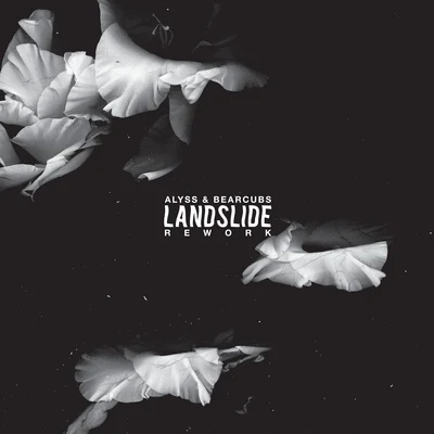 Landslide (Alyss & Bearcubs Rework) 專輯 Bearcubs/SLO