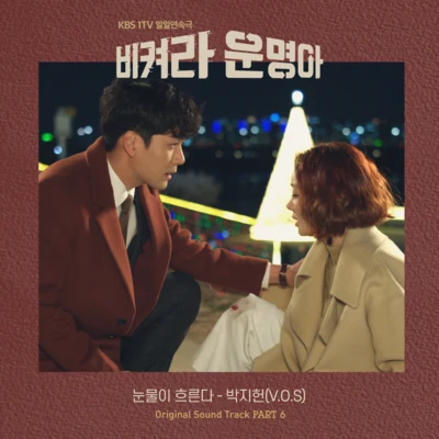 朴志憲 비켜라 운명아 OST Part. 6