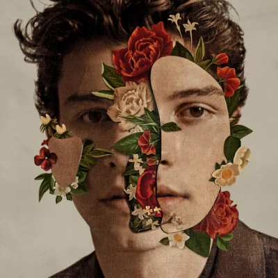 Shawn MendesZedd Shawn Mendes (Deluxe)