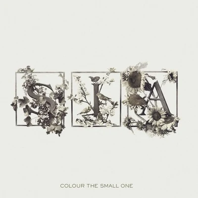 Colour The Small One 专辑 Sia