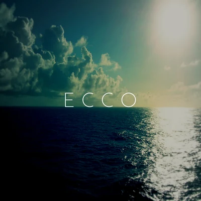 Ecco 专辑 Daffy/Flipperachi