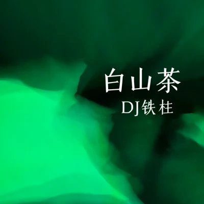 白山茶 專輯 DJ鐵柱