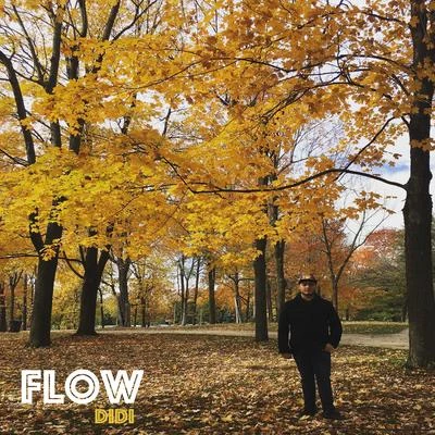 Flow 專輯 didi