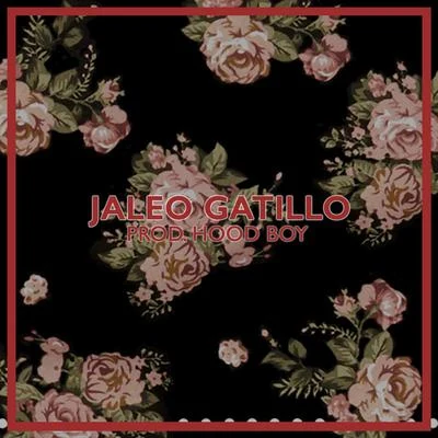 Jaleo Gatillo 专辑 DELLAFUENTE/Novedades Carminha